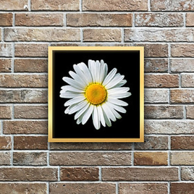 TRANH CANVAS CÚC HỌA MI TRANG TRÍ TREO TƯỜNG 