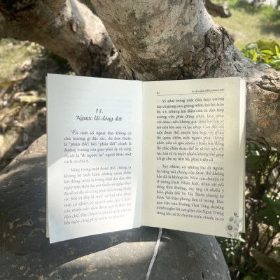 Sách - An Nhiên Giữa Những Muộn Phiền - Tập 5 - Tuyển Tập Ranh Giới Giữa Mê Và Ngộ - Đại sư Tinh Vân - Vĩnh Nghiêm Books