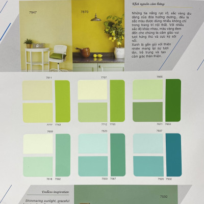 Sơn phào chỉ cho trần nhà Toa thoải mái lau chùi màu B- 8096 _1L