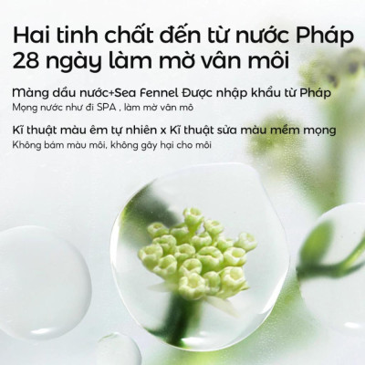 Son kem lì Carslan dưỡng ẩm giảm thâm môi làm mờ vân môi 4.5g