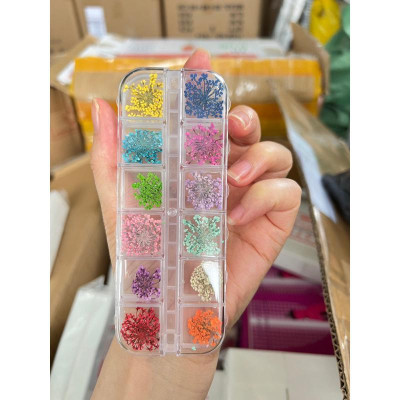 Hoa Khô Chùm Nhỏ Khay 12 Ô Mix MàuTrang Trí Móng Siêu Đẹp Làm Nail Vẽ Nail Nữ Women