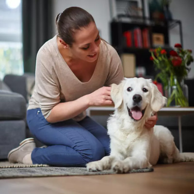 Máy hút bụi cao cấp Philips PowerPro Expert FC9735/81 1800W - Hàng Nhập Khẩu