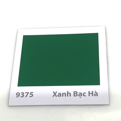 Sơn sàn bê tông Donasa /Floor coating Paint màu xanh bạc hà DEF 9375 15L
