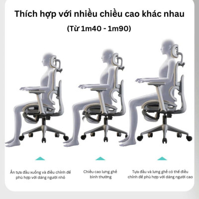 GHẾ CÔNG THÁI HỌC NEWBEGINNING NB919 – LỰA CHỌN HOÀN HẢO CHO DÂN VĂN PHÒNG VÀ HỌC TẬP TẠI NHÀ