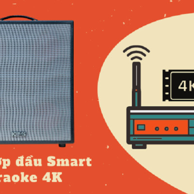 Dàn âm thanh di động xách tay ACNOS KSNET450