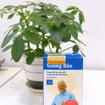 Vương bảo lọ 80 viên