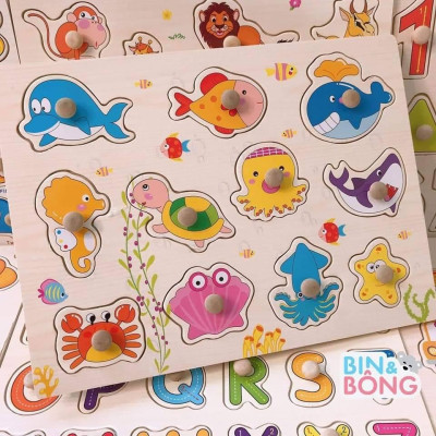 Combo 5 bảng Núm gỗ các chủ đề