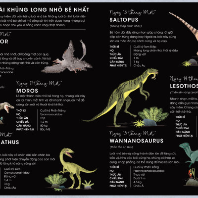 365 Ngày Khủng Long