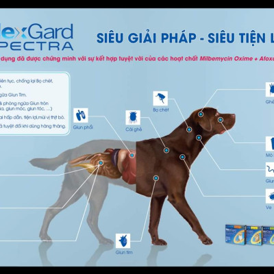 1 viên NexGard Spectra trị giun, ve rận, ghẻ, viêm da (chó 7,5 - 15kg)