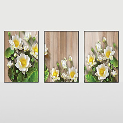 Bộ tranh Canvas 3 bức Hoa dừa T014 (60x40)