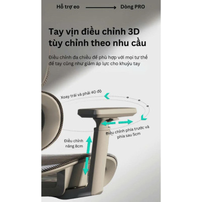 GHẾ CÔNG THÁI HỌC NEWBEGINNING NB919 – LỰA CHỌN HOÀN HẢO CHO DÂN VĂN PHÒNG VÀ HỌC TẬP TẠI NHÀ