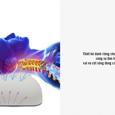 Gối nằm Cao Su Thiên Nhiên  Honey Nơ Vạn Thành 38x53x10cm-Êm ái-đàn hồi.