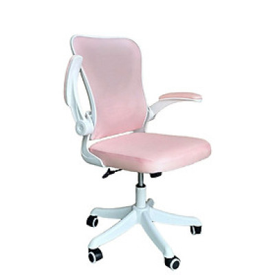 Ghế nhân viên màu xanh dương CE4562-2M Lưng lưới nệm vải lưới khung nhựa trắng tay điều chỉnh tiện lợi chân nhựa xoay nhập khẩu hcm