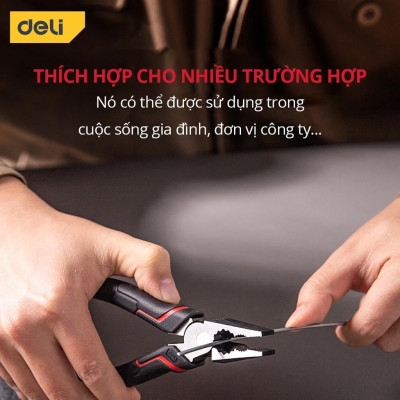 Kìm Đa Năng Deli Cao Cấp Kiểu Nhật - Chất Liệu Thép CR-V Chống Mòn, Gỉ - Thiết Kế Răng Cưa Tiện Dụng - DL100106