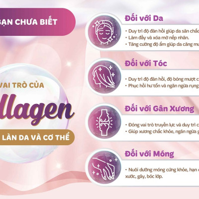 [DATE T11.2025] Combo 3 Hộp Nước Uống Đẹp Da Collagen S Select Nhật Bản Liệu Trình Trẻ Hóa, Dưỡng Sáng Da Hoàn Hảo (30 Lọ)