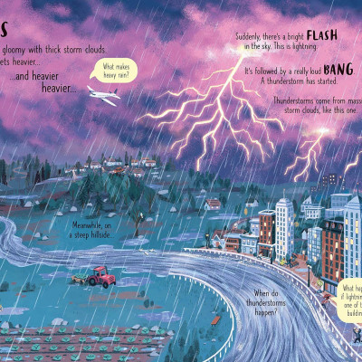 Sách - Look Inside Wild Weather by Emily Bone Bao Luu (UK edition, paperback)