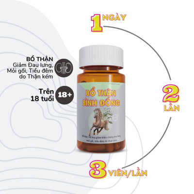 Bổ Thận Bình Đông - Bổ thận, hỗ trợ giảm triệu chứng đau lưng, mỏi gối, tiểu đêm – hộp 60 viên nang