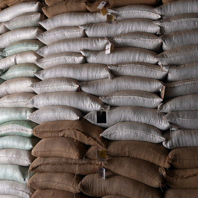 Cà Phê Hảo Hạng (Specialty Coffee) Tinh Khiết Không Tẩm Không Độn Thương Hiệu Quốc Tế 1864 CAFÉ EL BORBOLLÓN Nguyên Hạt Khối Lượng Tịnh 220g – 1864 CAFÉ