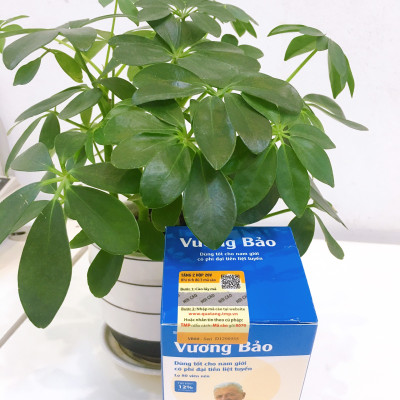 Vương bảo lọ 80 viên