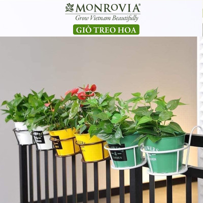 Combo 3 Giỏ treo chậu hoa ban công MONROVIA, giỏ sắt treo chậu hoa ban công, chậu treo ban công, kệ treo ban công, móc treo, khung thép, sơn tĩnh điện chính hãng thương hiệu MONROVIA 