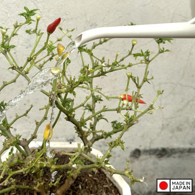 Bình tưới cây Nakaya Waterring Pot 850ml - Hàng nhập khẩu nội địa Nhật Bản