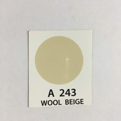 Sơn xịt màu da ATM A243