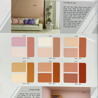 Sơn phào chỉ cho trần nhà Toa thoải mái lau chùi màu B- 7376 _1L