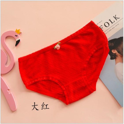 COMBO 10 QUẦN BÔNG THUN XỐP SIÊU XINH 1456