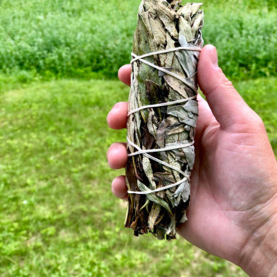 Bó lá xô thơm trắng và lá thánh (white sage + Yerba Santa)