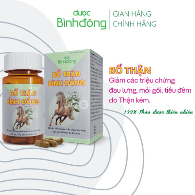 Bổ Thận Bình Đông - Bổ thận, hỗ trợ giảm triệu chứng đau lưng, mỏi gối, tiểu đêm – hộp 60 viên nang