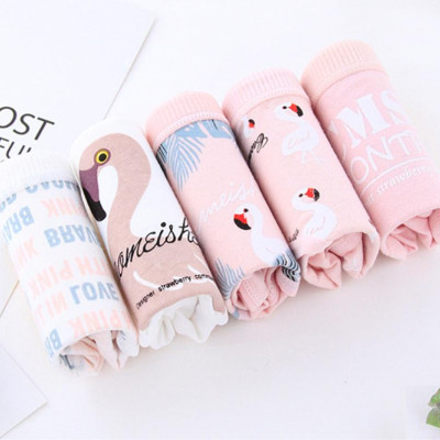 5 quần lót nữ tam giác cotton hình thiên nga