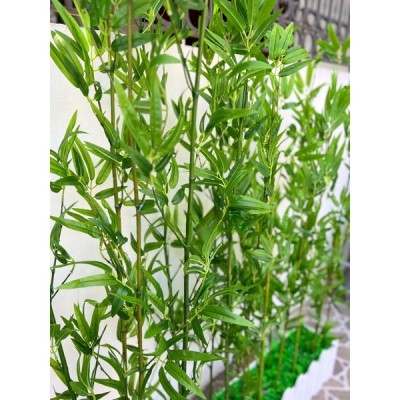 Cây trúc quân tử giả Set cây trúc giả - size 120cm, 150cm - Cây giả, hoa lụa Decor trang trí nhà cửa