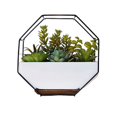 Chậu Cây Cảnh Trang Trí DEBRA - Cây Giả Trang Trí |Index Living Mall - Nội thất Thái Lan|