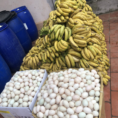 Combo Phân bón đậu tương, đậu nành chuối humic DOCNEEM kích mầm, chồi, hoa chuẩn form trên hoa hồng, cây cảnh, combo 2 chai 1 lít