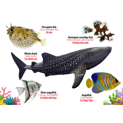 Sách - Trọn Bộ Combo Từ Điển Song Ngữ Đầu Tiên Của Bé ( bộ 8 cuốn)