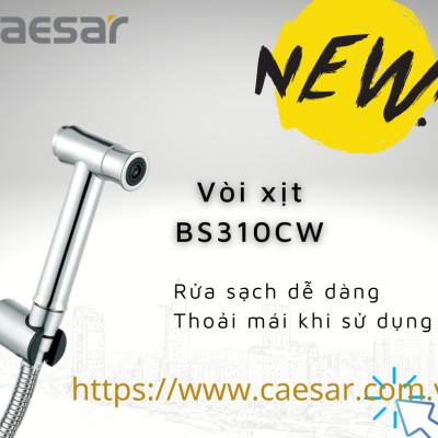 VÒI XỊT INOX 304 - BS310CW CAESAR