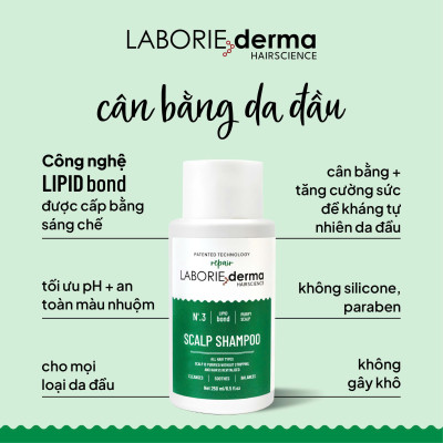 Dầu gội hỗ trợ cân bằng hệ vi sinh da đầu LABORIE derma Scalp Shampoo 250ml