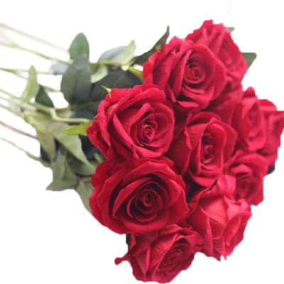 Set 20 cành hoa hồng nhung giả - dài 60cm - Hàng loại 1 - Cây giả, hoa lụa Decor trang trí nhà cửa