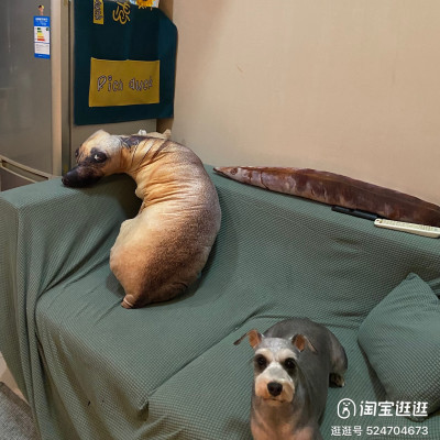 Gấu bông con chó liếc 3D hài hước ship HOẢ TỐC HCM gấu hình chó thật nhồi bông 20cm 50cm 70cm 90cm giá rẻ