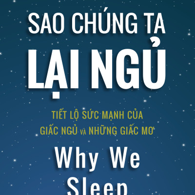 Combo Sao chúng ta lại ngủ + Phác đồ khởi nghiệp theo đường cong J