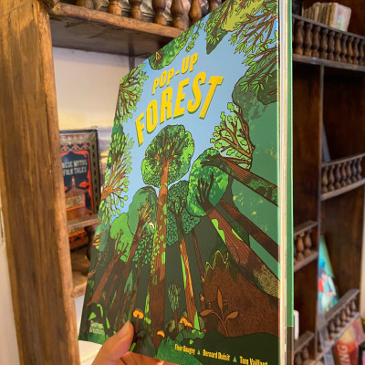 Sách - Pop-Up Forest by Tom Vaillant | Children Book in English / Ngoại văn Thiếu nhi Nhập khẩu