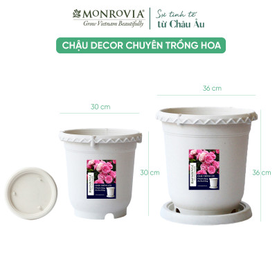 Chậu trồng cây Decor trang trí thương hiệu MONROVIA chuyên cho Hoa, hoa hồng, kèm đĩa lót thông minh, thiết kế tinh tế, tiêu chuẩn Châu Âu
