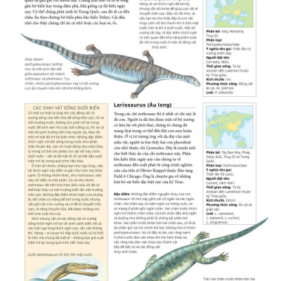 Sách - Bách Khoa Khủng Long Toàn Tập - Bìa Cứng