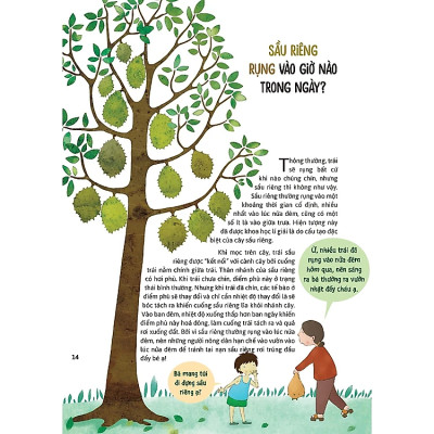 Hỏi Đáp Về Thế Giới