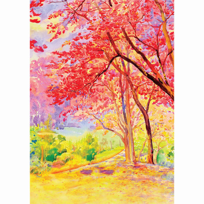 Tích Cực - Biện Pháp Luôn Nhiều Hơn Khó Khăn - Nhật Kí Trưởng Thành Cho Học Sinh Tiểu Học