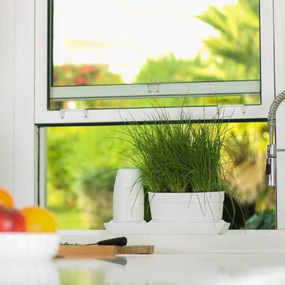 Chậu Trồng Rau Sạch Tự Dưỡng và Tự động tưới Basic UNO nhập khẩu Bồ Đào Nha dùng trồng rau và cây để bàn trong nhà hàng, khách sạn hay hộ gia đình