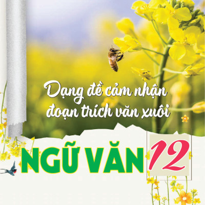 Dạng Đề Cảm Nhận Đoạn Trích Văn Xuôi + Thơ Ngữ văn 12