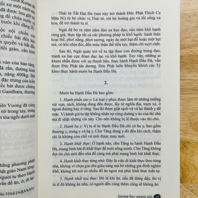 Hương Bay Ngược Gió - Bước Chân Tập Học của hành giả Minh Tuệ