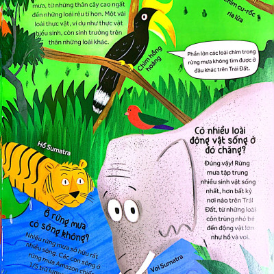 Những Câu Hỏi Tò Mò & Giải Đáp Thú Vị Về Rừng Mưa (Tái bản 2023)- 2HBooks