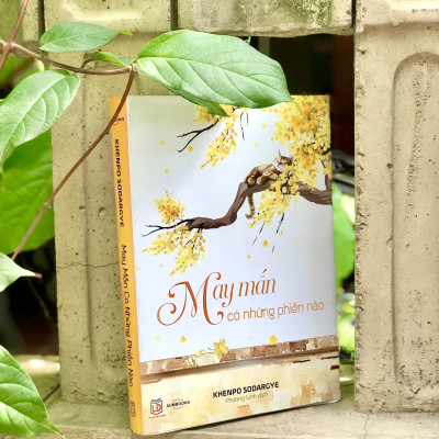 Sách May Mắn Có Những Phiền Não - Sách tôn giáo, nghệ thuật văn hóa, tác giả KHENPO SODARGYE - Hiệu Sách GenBooks, bìa mềm, in màu